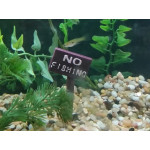 No Fishing не рибалити
