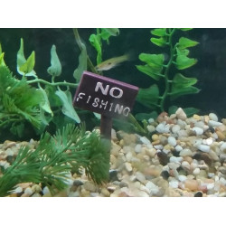 No Fishing не рибалити